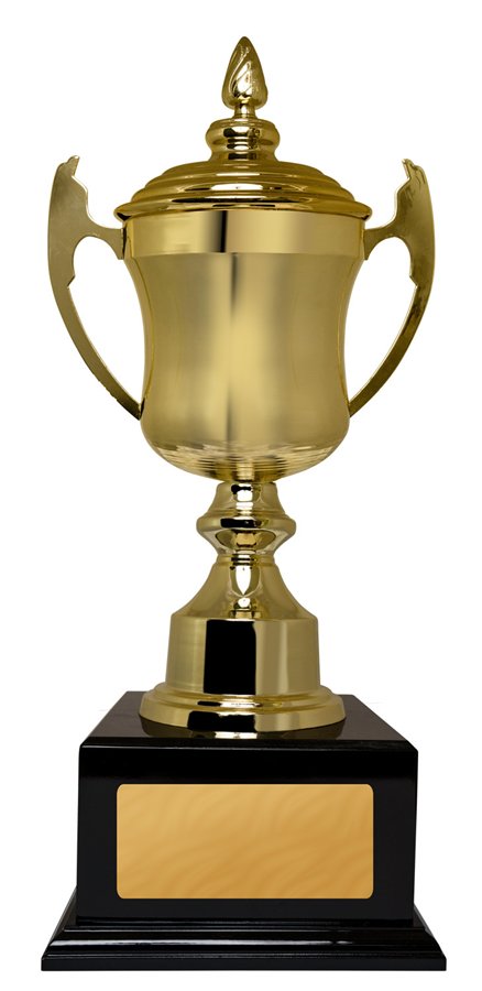 Gold presentation cup with lid on a black base