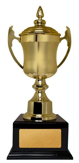 Gold presentation cup with lid on a black base